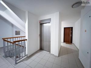 Pronájem bytu 3+kk, Praha - Vysočany, Odlehlá, 64 m2