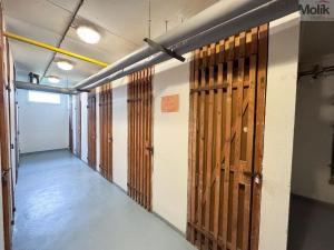 Pronájem bytu 3+kk, Praha - Vysočany, Odlehlá, 64 m2