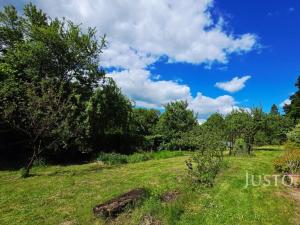 Prodej zahrady, Písek - Budějovické Předměstí, Na Ptáčkovně, 3088 m2