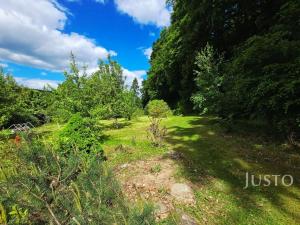 Prodej zahrady, Písek - Budějovické Předměstí, Na Ptáčkovně, 3088 m2
