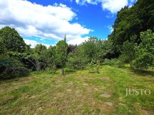 Prodej zahrady, Písek - Budějovické Předměstí, Na Ptáčkovně, 3088 m2