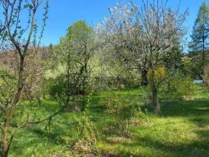 Prodej zahrady, Písek - Budějovické Předměstí, Na Ptáčkovně, 3088 m2