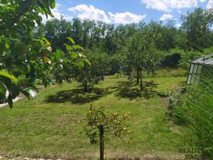 Prodej zahrady, Hodonín, 585 m2