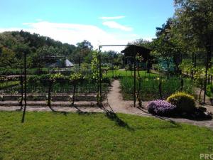 Prodej zahrady, Hodonín, 585 m2