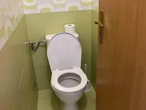 Pronájem bytu 1+kk, Planá nad Lužnicí, Průmyslová, 19 m2