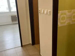 Pronájem bytu 1+kk, Planá nad Lužnicí, Průmyslová, 19 m2