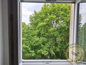 Pronájem bytu 1+kk, Praha - Břevnov, Nad Závěrkou, 14 m2