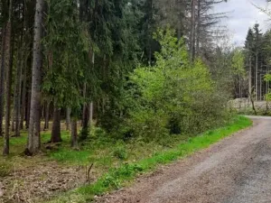 Prodej pozemku, Mlýny, 826 m2