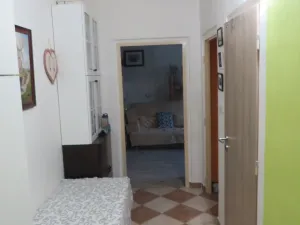 Pronájem bytu 1+1, Olomouc, Foerstrova, 41 m2