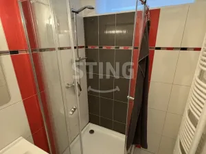 Prodej vily, Včelná, Witthanova, 200 m2