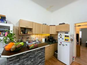 Pronájem bytu 2+kk, Praha - Holešovice, Bubenská, 50 m2