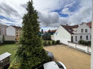 Pronájem kanceláře, České Budějovice, L. B. Schneidera, 41 m2