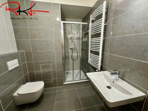 Pronájem bytu 1+kk, Praha - Dolní Měcholupy, Kardausova, 42 m2