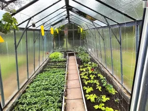 Prodej rodinného domu, Liběšice - Zimoř, 281 m2