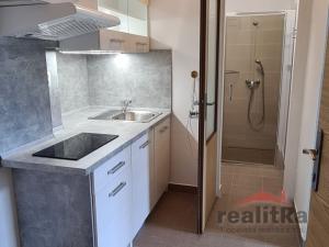 Pronájem bytu 1+kk, Opava - Předměstí, Pekařská, 25 m2