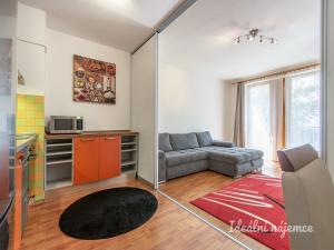 Pronájem bytu 1+kk, Praha - Michle, Třeboňská, 43 m2