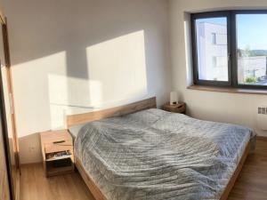 Pronájem bytu 2+kk, Nové Město nad Metují, T. G. Masaryka, 56 m2