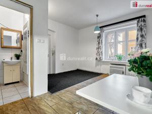 Pronájem bytu 1+kk, Ústí nad Labem - Ústí nad Labem-centrum, Emy Destinové, 21 m2