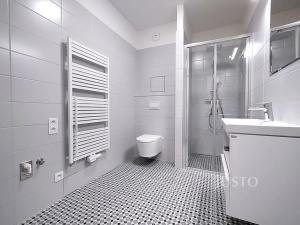 Prodej bytu 2+kk, Písek, Zeyerova, 51 m2