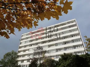 Prodej bytu 1+kk, Mladá Boleslav - Mladá Boleslav III, Jičínská, 38 m2