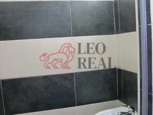 Prodej bytu 1+kk, Mladá Boleslav - Mladá Boleslav III, Jičínská, 38 m2