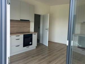 Pronájem bytu 1+kk, Brno - Trnitá, Křenová, 28 m2