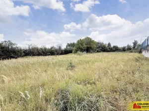 Prodej pozemku pro bydlení, Sebranice, 2000 m2