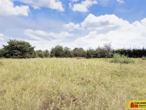 Prodej pozemku pro bydlení, Sebranice, 2000 m2