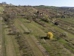 Prodej sadu/vinice, Strážnice, 2214 m2