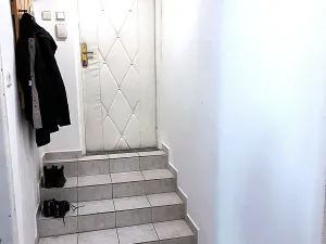 Prodej bytu 1+kk, Praha - Nusle, Družstevní ochoz, 29 m2