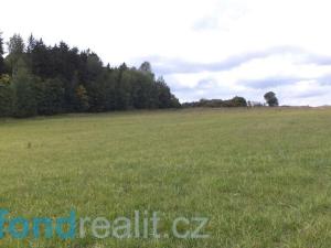 Prodej pole, Tachov, 55727 m2
