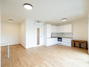 Pronájem bytu 1+kk, Praha - Žižkov, Basilejské náměstí, 42 m2