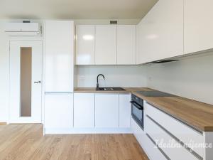 Pronájem bytu 1+kk, Praha - Žižkov, Basilejské náměstí, 42 m2