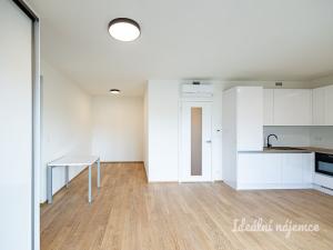 Pronájem bytu 1+kk, Praha - Žižkov, Basilejské náměstí, 42 m2