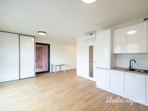 Pronájem bytu 1+kk, Praha - Žižkov, Basilejské náměstí, 42 m2