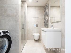 Pronájem bytu 1+kk, Praha - Žižkov, Basilejské náměstí, 42 m2