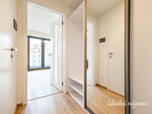 Pronájem bytu 1+kk, Praha - Žižkov, Basilejské náměstí, 42 m2