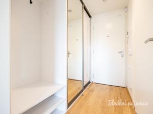 Pronájem bytu 1+kk, Praha - Žižkov, Basilejské náměstí, 42 m2