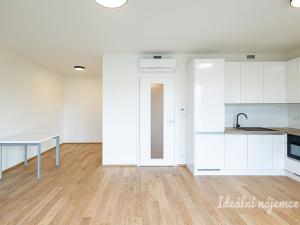 Pronájem bytu 1+kk, Praha - Žižkov, Basilejské náměstí, 42 m2