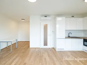 Pronájem bytu 1+kk, Praha - Žižkov, Basilejské náměstí, 42 m2