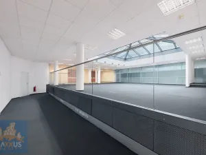 Pronájem kanceláře, Praha - Nové Město, Krakovská, 300 m2