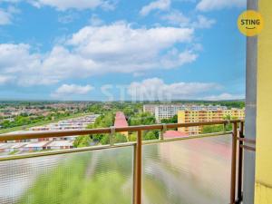 Prodej bytu 3+1, Veselí nad Moravou, Hutník, 62 m2