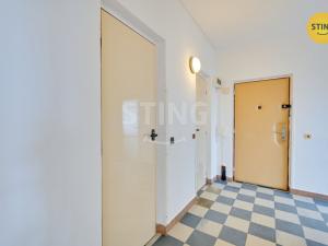 Prodej bytu 3+1, Veselí nad Moravou, Hutník, 62 m2