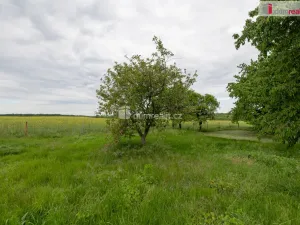Prodej zahrady, Řepín - Živonín, 1647 m2