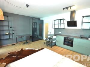 Pronájem bytu 1+kk, Praha - Žižkov, Olgy Havlové, 41 m2