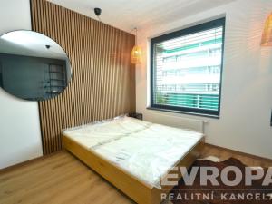 Pronájem bytu 1+kk, Praha - Žižkov, Olgy Havlové, 41 m2