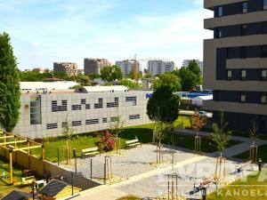 Pronájem bytu 1+kk, Praha - Žižkov, Olgy Havlové, 41 m2