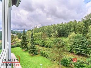 Prodej bytu 3+1, Kraslice, Družstevní, 62 m2