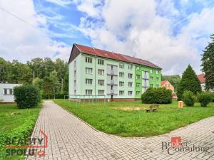 Prodej bytu 3+1, Kraslice, Družstevní, 62 m2