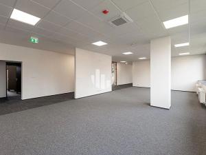 Pronájem kanceláře, Ostrava, Slavíkova, 1000 m2